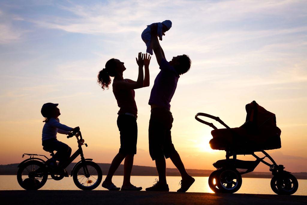 Семья как персональная микросреда жизни и развития ребенка