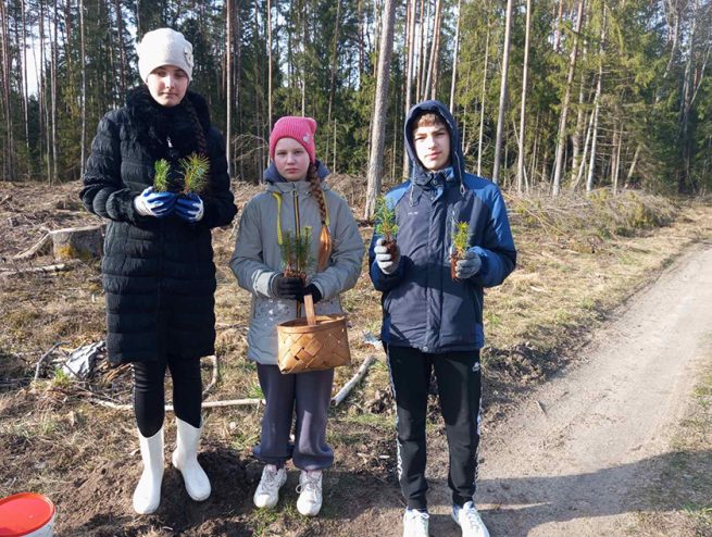 Деревья сажают предки, а их тенью наслаждаются потомки!