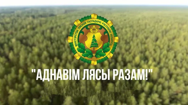 Акция "Дай лесу новае жыццё!"