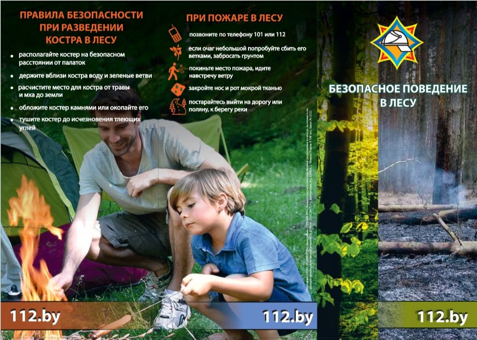 Пожарная безопасность в лесу