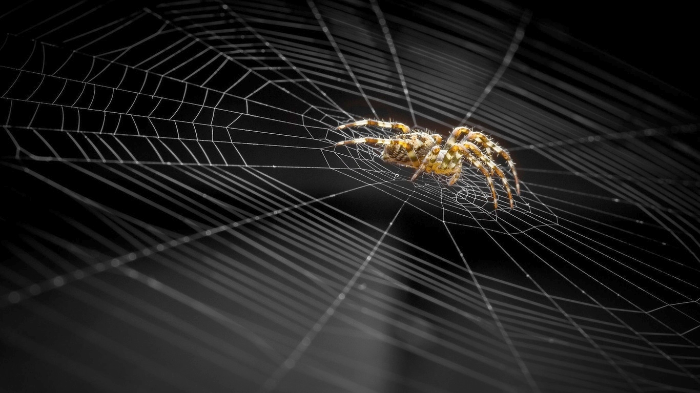 Внимание! Уловки наркодилеров!