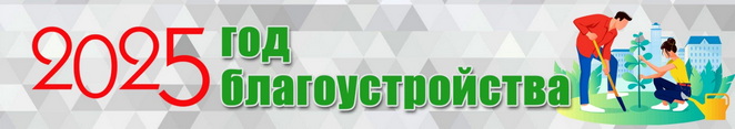2025 год - Год благоустройства